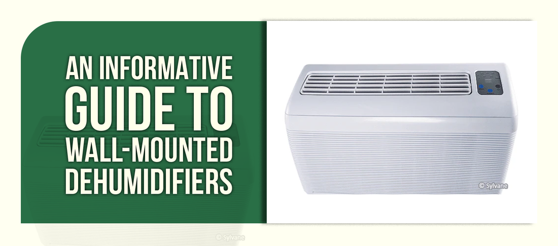 An Informative Guide to Wall-Mounted Dehumidifiers