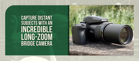 Capture Distant Subjects with an Incredible Long-Zoom Bridge Camera