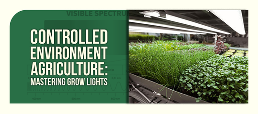 Controlled Environment Agriculture: Mastering Grow Lights