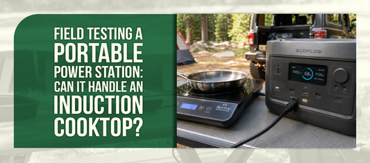Field Testing a Portable Power Station: Can It Handle an Induction Cooktop?