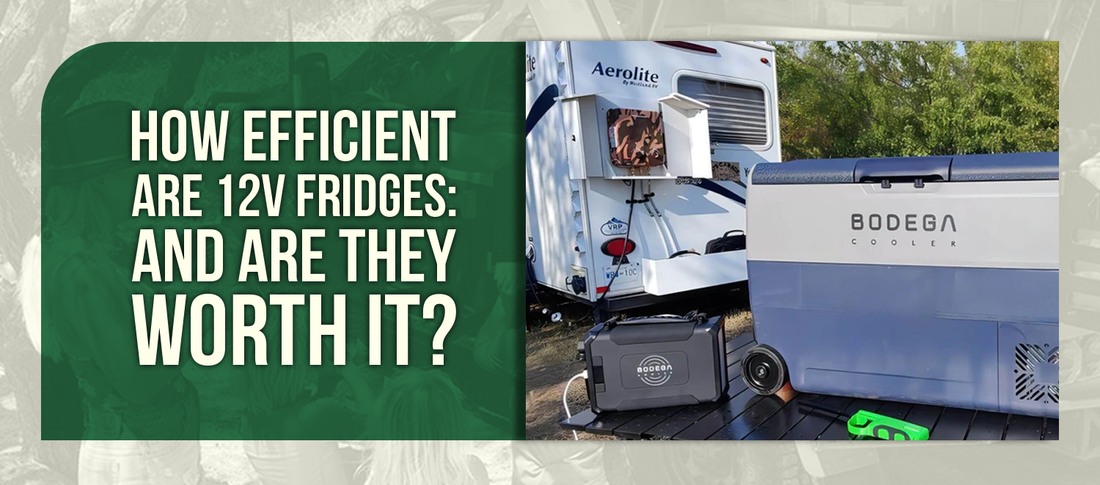 How Efficient Are 12V Fridges: And Are They Worth It?