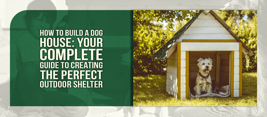 How to Build a Dog House: Your Complete Guide to Creating the Perfect Outdoor Shelter