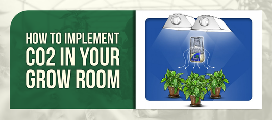 How to Implement CO2 in Your Grow Room