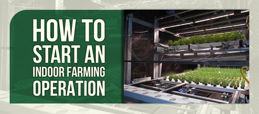 How to Start an Indoor Farming Operation
