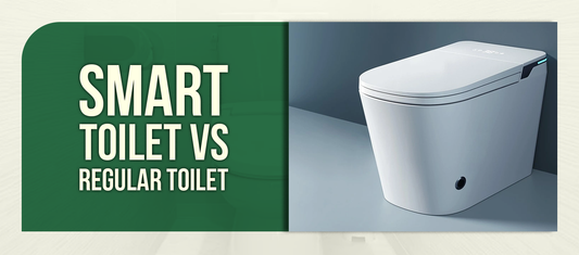 Smart Toilet vs Regular Toilet
