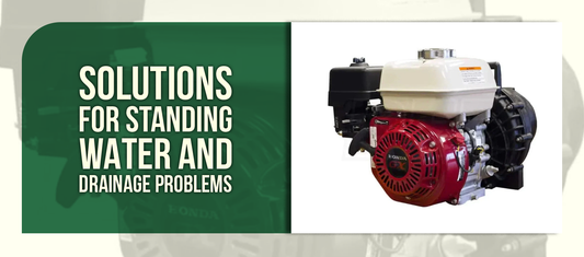 Complete Guide to Dewatering Your Backyard: Solutions for Standing Water and Drainage Problems