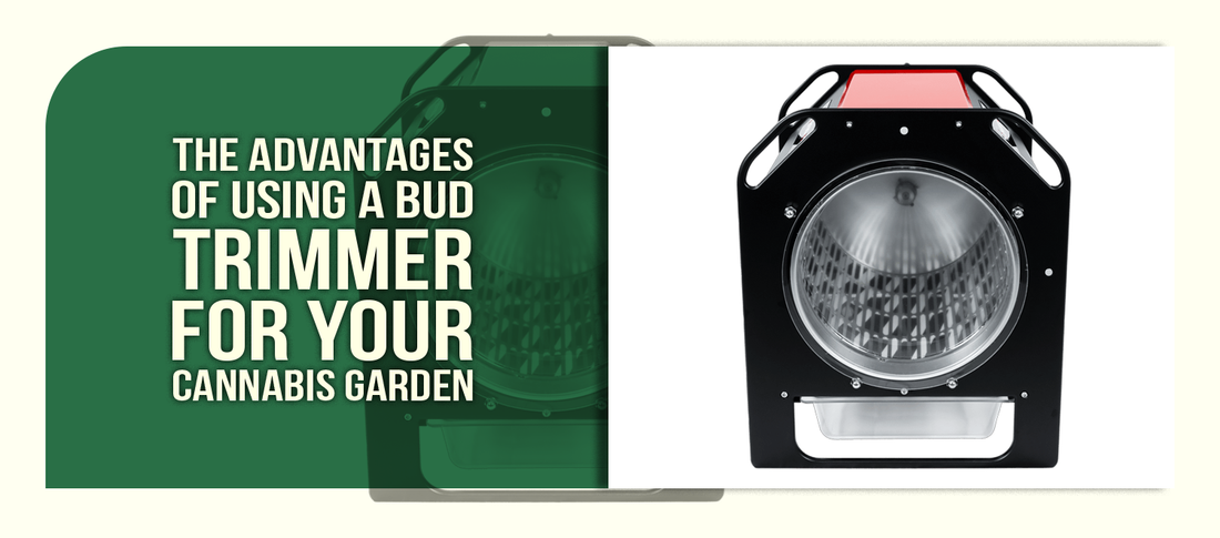 The Advantages of Using a Bud Trimmer for Your Cannabis Garden