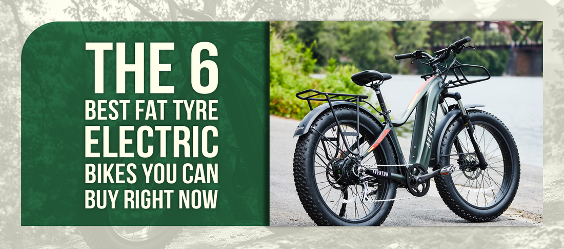 The 6 Best Fat Tyre Electric Bikes You Can Buy Right Now