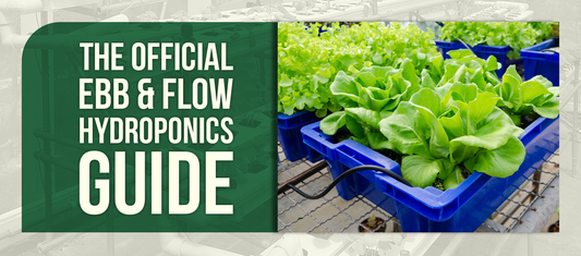 The Official Ebb & Flow Hydroponics Guide