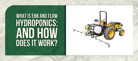 What Is Ebb and Flow Hydroponics: And How Does It Work?