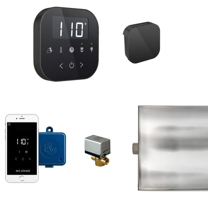 Mr. Steam AirButler Steam Generator Bundle - ABUTLER1B-BB