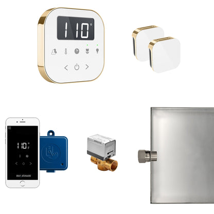 Mr. Steam AirButler Max Steam Generator Control Bundle - ABUTLERXB-BB