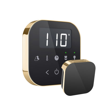 Mr. Steam AirTempo Steam Shower Control - AIRTBK-BB