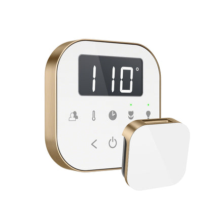 Mr. Steam AirTempo Steam Shower Control - AIRTBK-BB