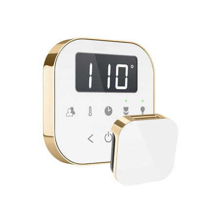 Mr. Steam AirTempo Steam Shower Control - AIRTBK-BB