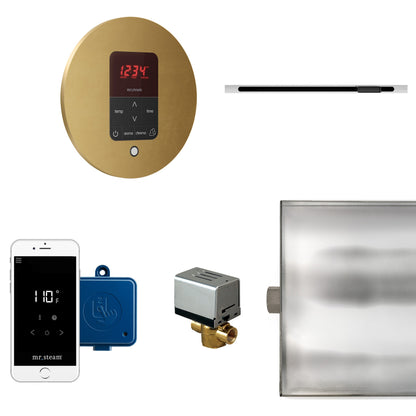 Mr. Steam Butler Linear Steam Generator Control Kit - BTLRL1RBB