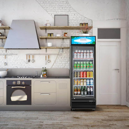 BODEGAcooler Commercial Glass Door Display Refrigerator Merchandiser 12.2 Cu. Ft