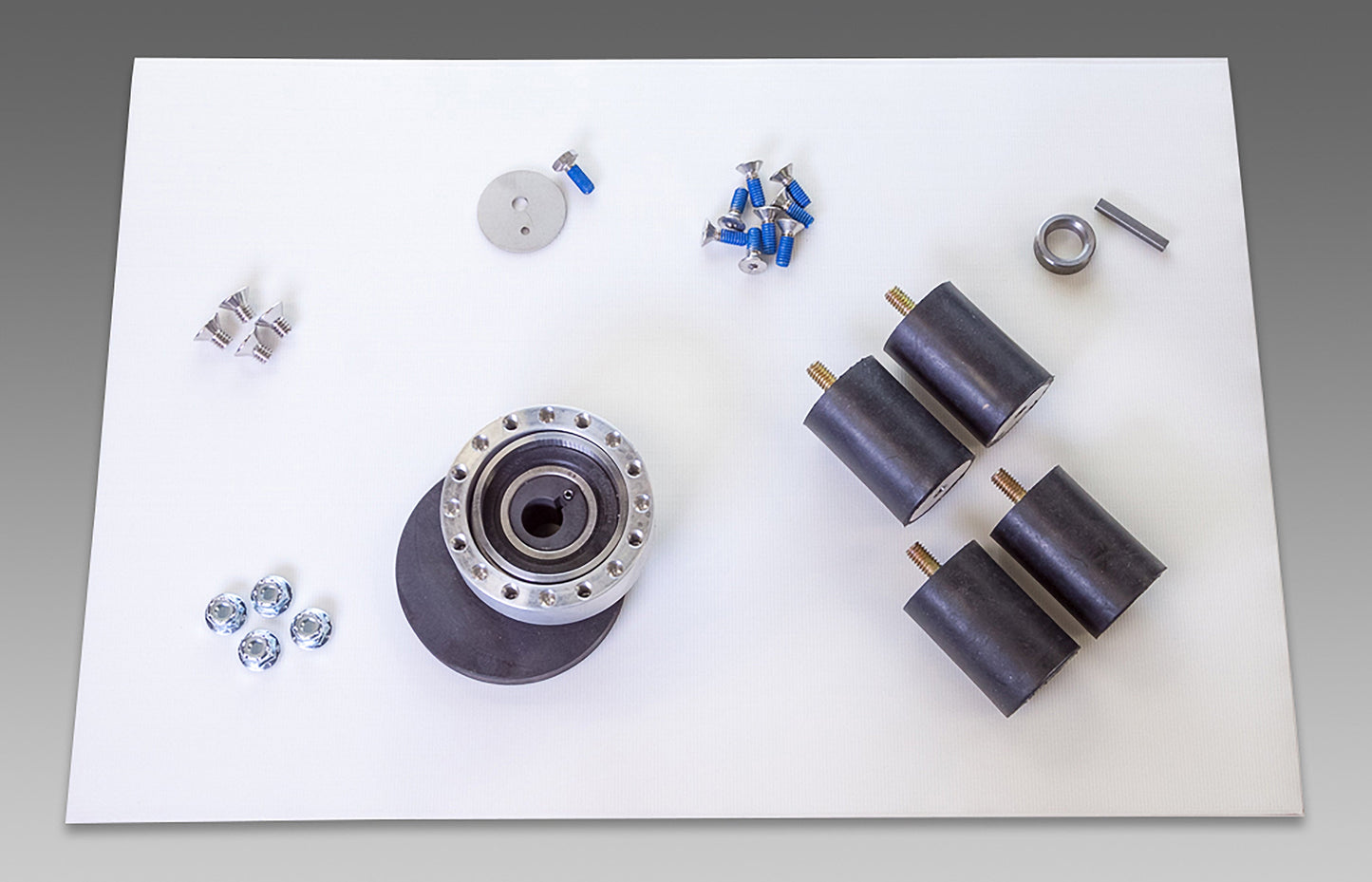 Square Scrub EBG-20/C PIVOT ECCENTRIC REPAIR KIT - SS 142002 PVT