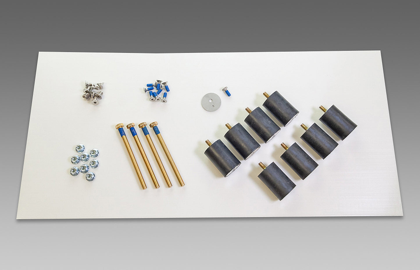 Square Scrub EBG-28 PIVOT WEIGHT BOLT KIT - SQUARE SCRUB SS -  142819 PVT