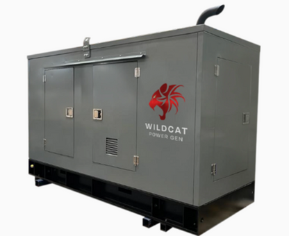 Aurora Generators Roughneck 40 kW Diesel Tier 4 Generator | Multi-Phase Selector | RO0040D4KSXP - RO0040D4KSXP