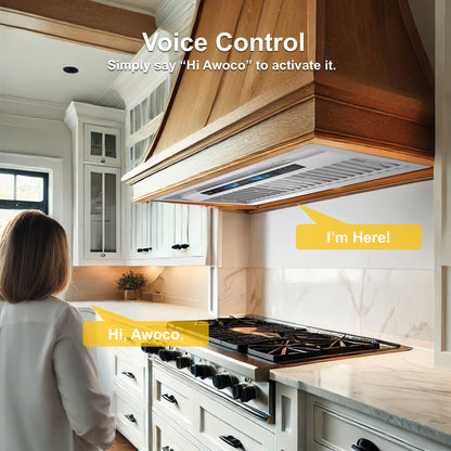 AWOCO RH-BQ-XV Range Hood Insert - Voice & Gesture - 800 CFM - 6" Top Vent - RH-BQ-XV30