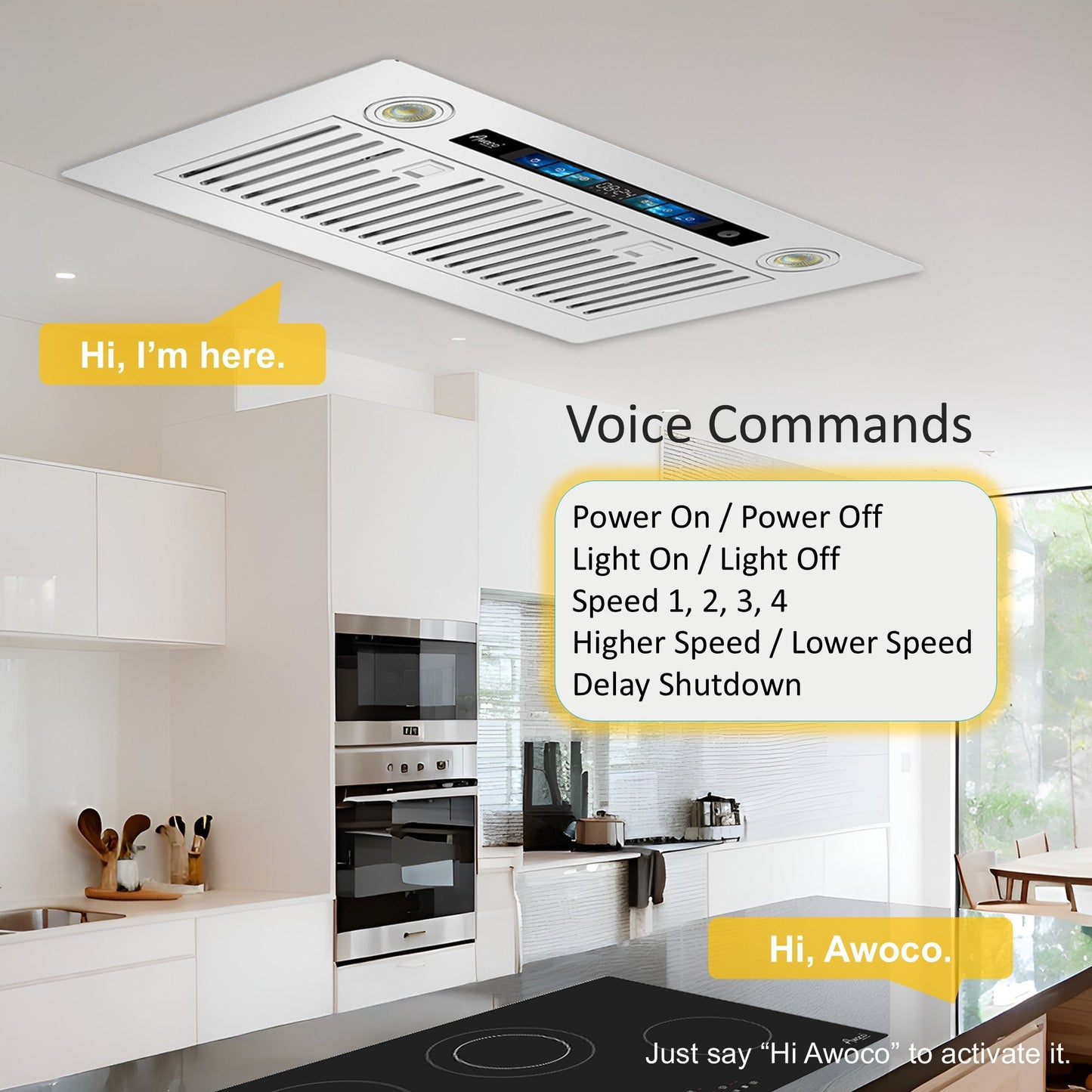 AWOCO  RH-IT06-V Ceiling Mount Range Hood - Split Insert - 800CFM - 6" Blower - RH-IT06-V30-COLD
