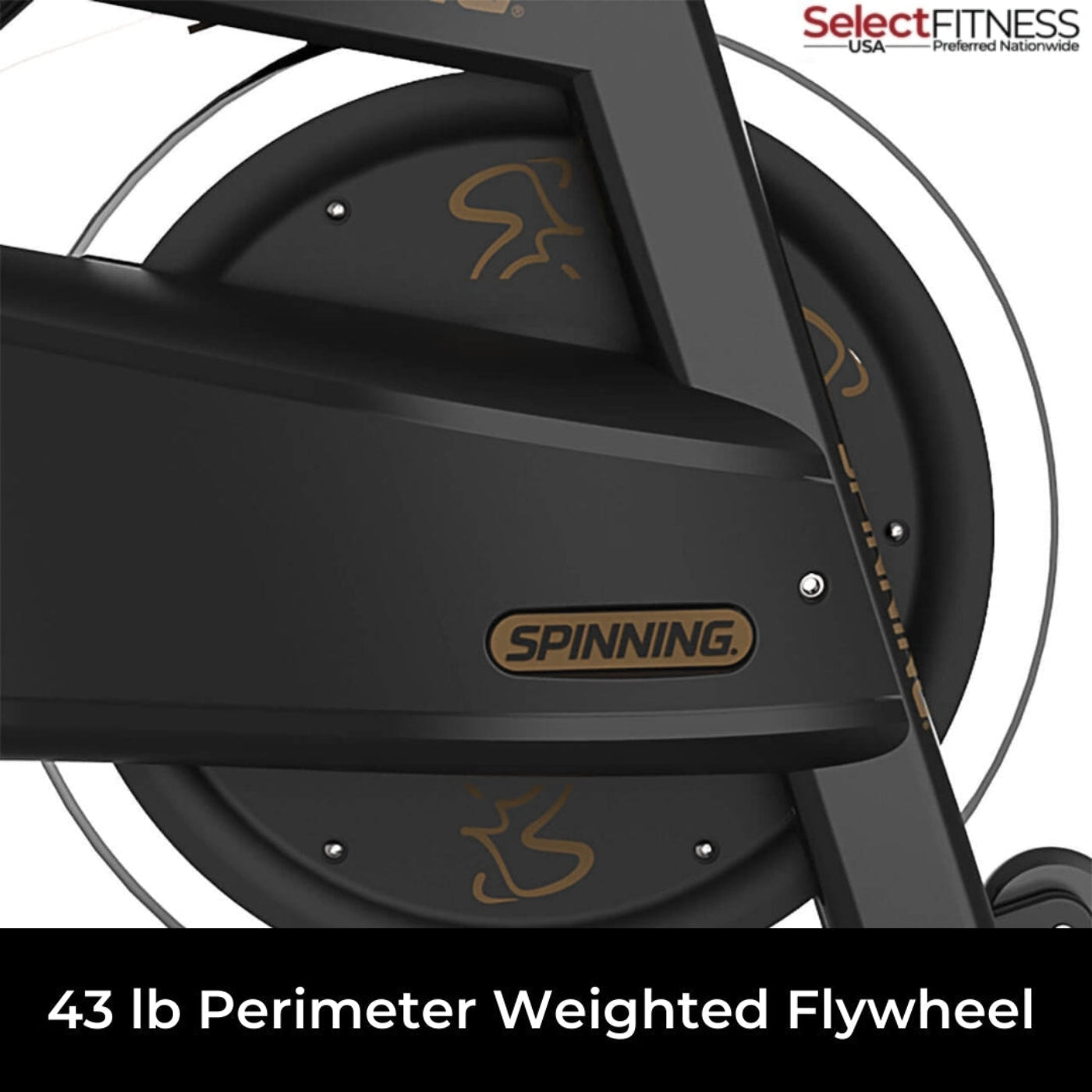 Spinning Spin Bikes Spinning PRO Power Commercial Spin Bike - 10-027-PLUS-KIT