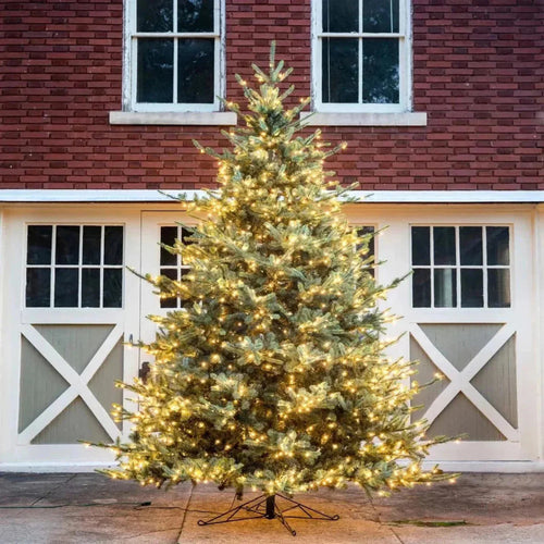 Park Hill Collection Tree Lot 12' Park Hill Blue Spruce Christmas Pine Tree LED Lights - XPQ82167