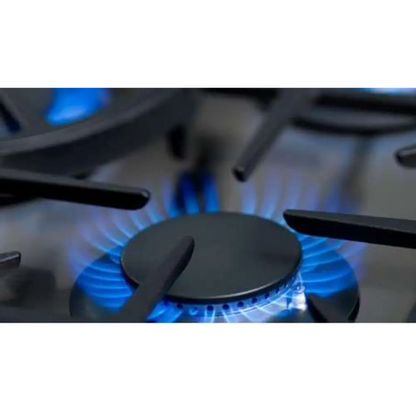 Capital 30" Precision Gas Range, 5 Sealed Burners, Wok Burner - MCR305N