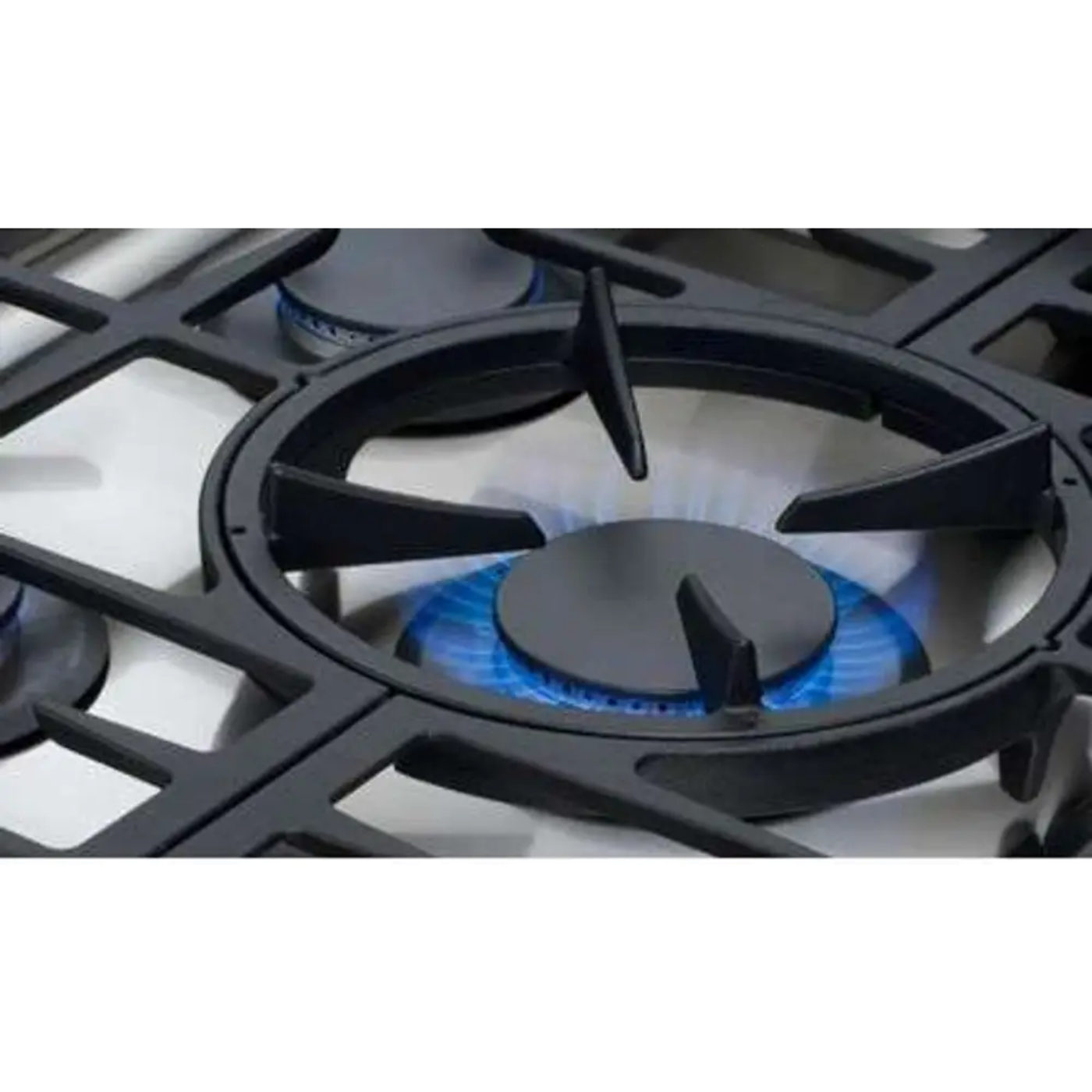 Capital 30" Precision Gas Range, 5 Sealed Burners, Wok Burner - MCR305N