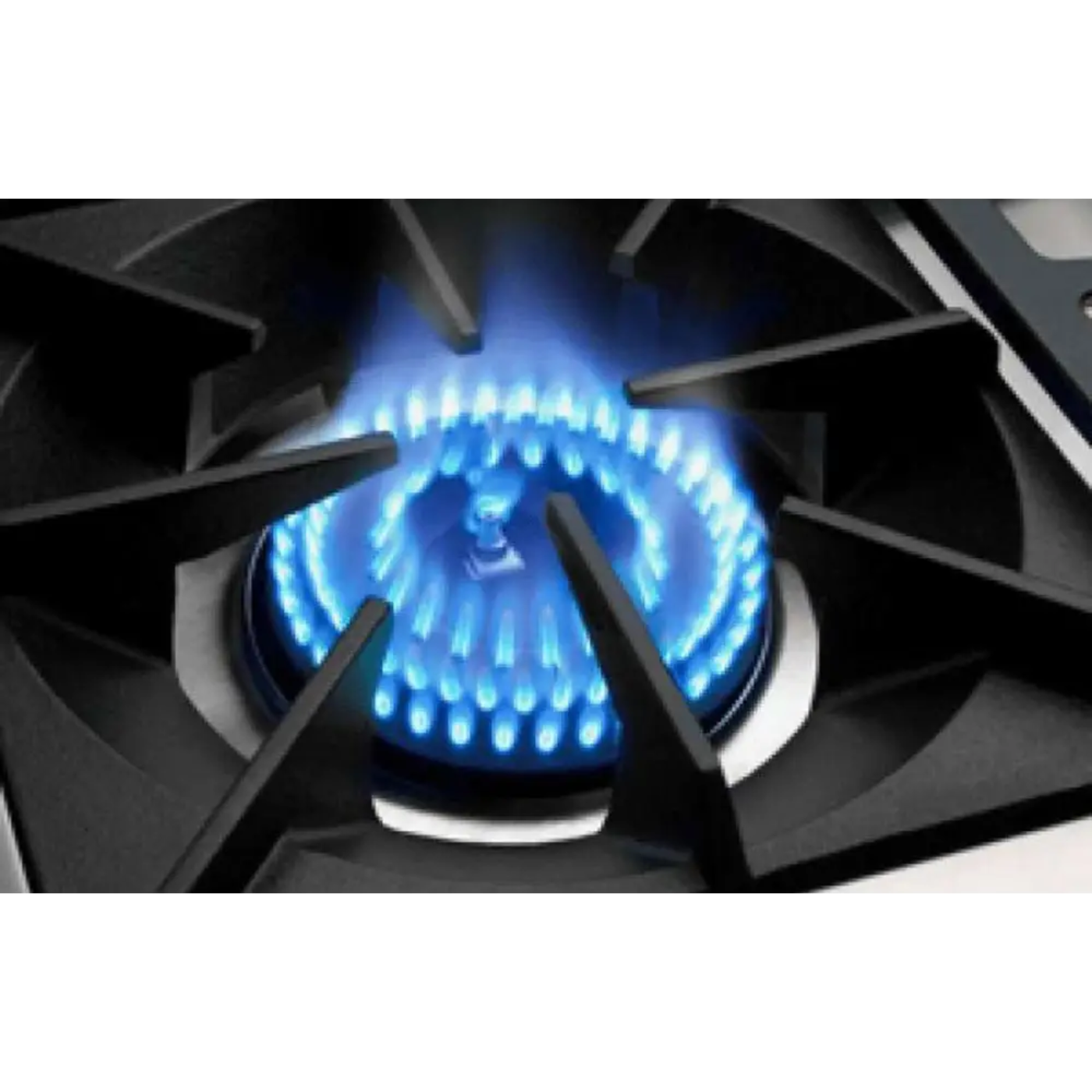 Capital 48" Precision Gas Range, 8 Sealed Burners - MCR488N
