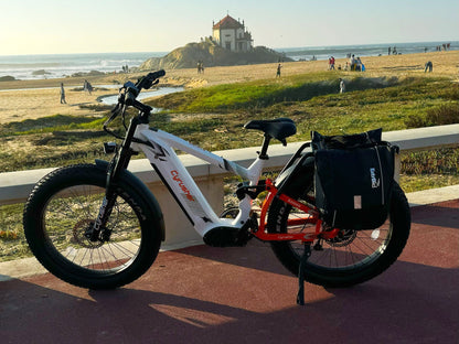 Cyrusher Ranger 1.0 Full-Suspension All-Terrain E-Bike - US-RNGR-GR